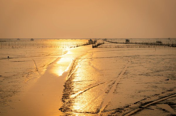 L'impact du tourisme gastronomique sur les destinations : exploration et influence